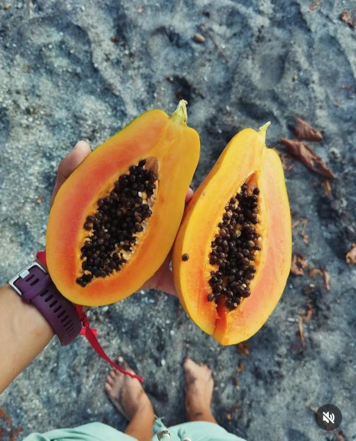 Appartamento Nanku Nimbu Casa-Bus Equipada Cerca De Playas Sámara Esterno foto