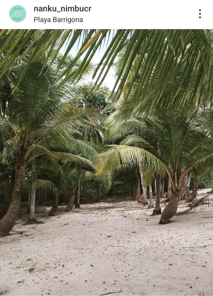 Appartamento Nanku Nimbu Casa-Bus Equipada Cerca De Playas Sámara Esterno foto